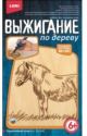 пони