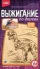  Выжигание в конверте 
