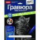 Гравюра Little ANIMALS Котенок мейн-кун
