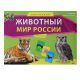 Викторина 150 карточек Животный мир Россия