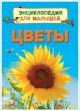 Энциклопедия для детского сада. Цветы 