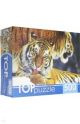 TOPpuzzle. ПАЗЛЫ 500 элементов. КБТП500-6797 Два тигра