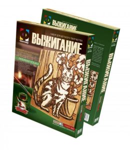  Выжигание+тонировка 